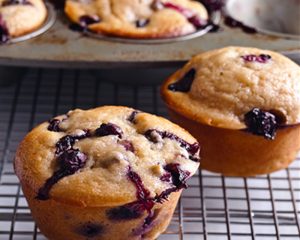 berry recipes 