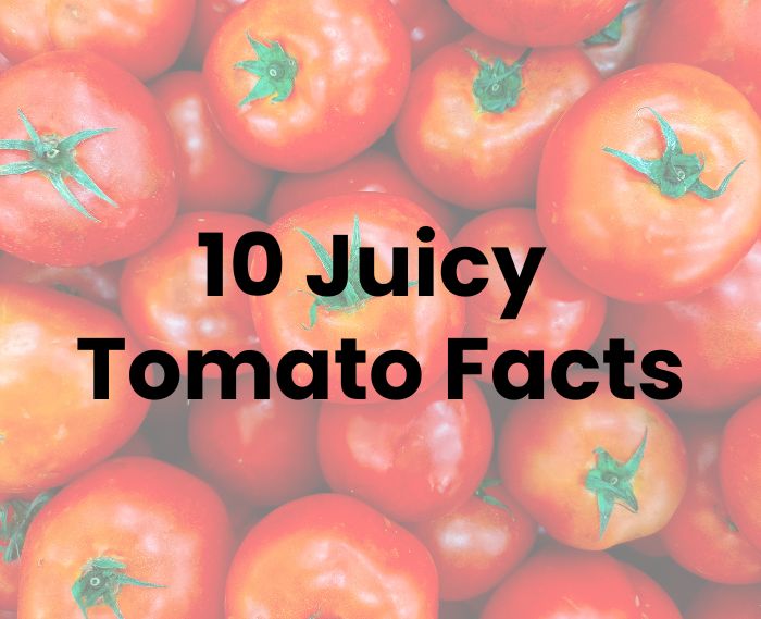 10 juicy tomato facts