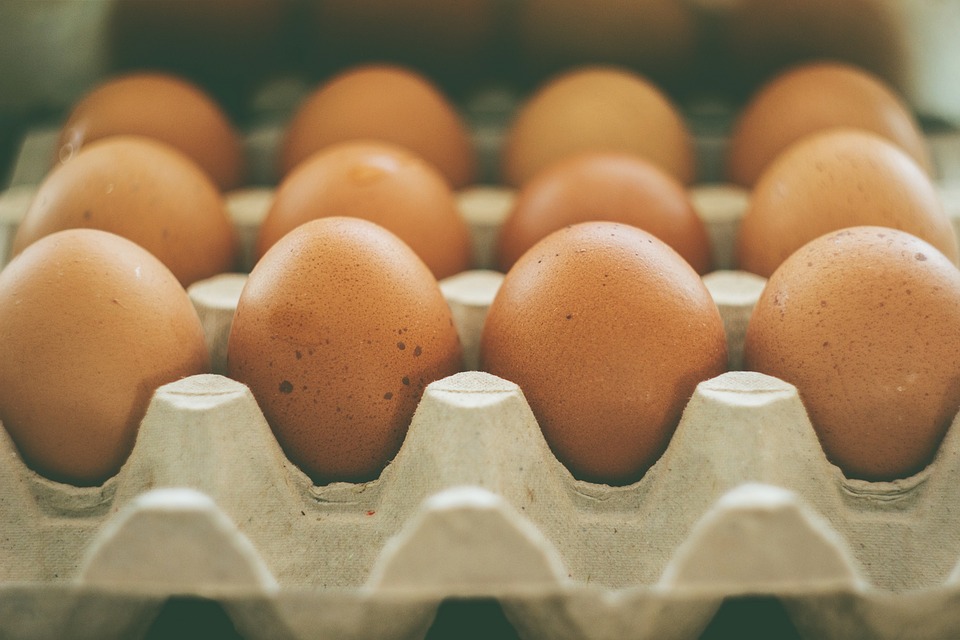 Know Your Egg Terminology Before Heading to the Store