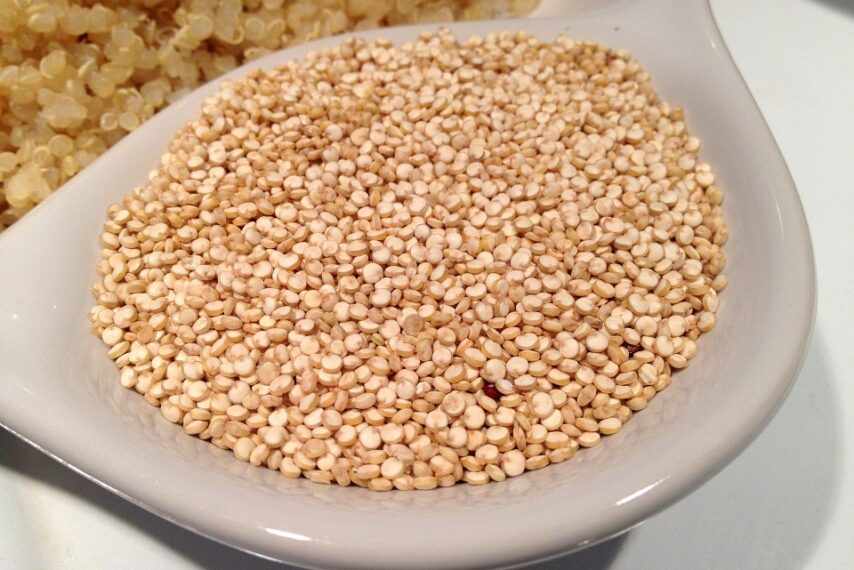quinoa-405538_960_720