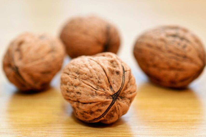 walnuts-552975_960_720