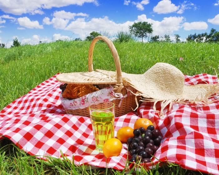 How to Have a Safe and Healthful Picnic