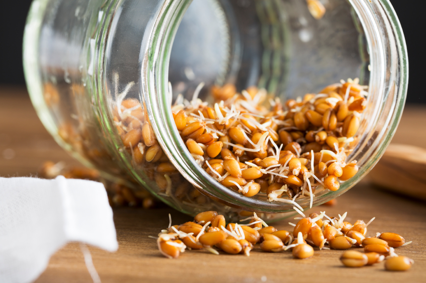 The Scoop on Sprouted Grains