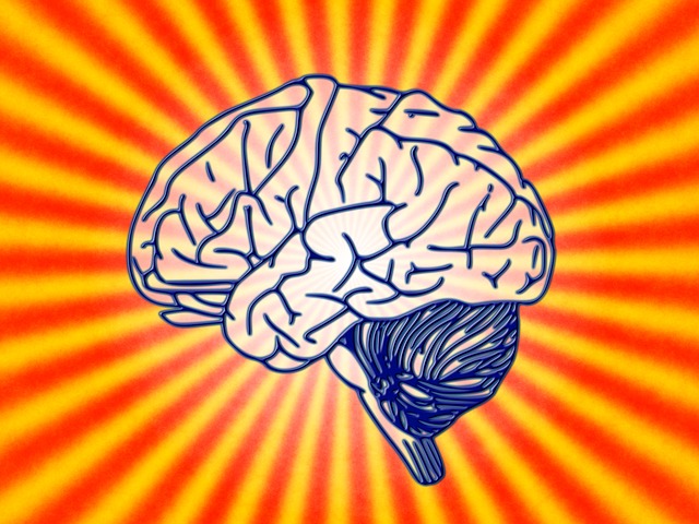 Brain Food