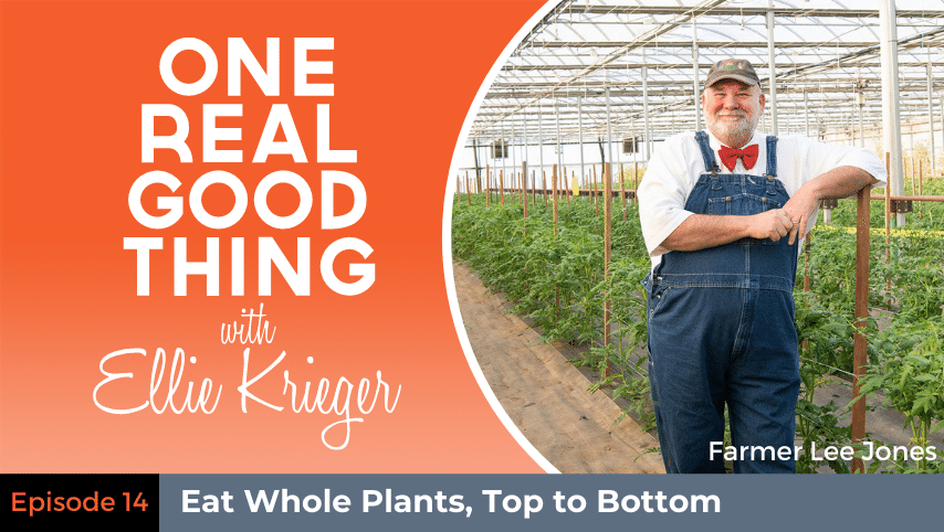 Copy of Ellie Krieger_Podcast-Thumbnail (1)