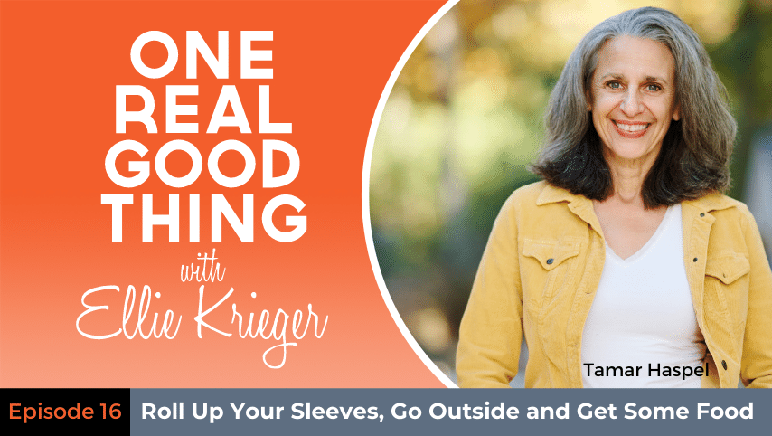 Episode 16 -Ellie Krieger_Podcast-Thumbnail